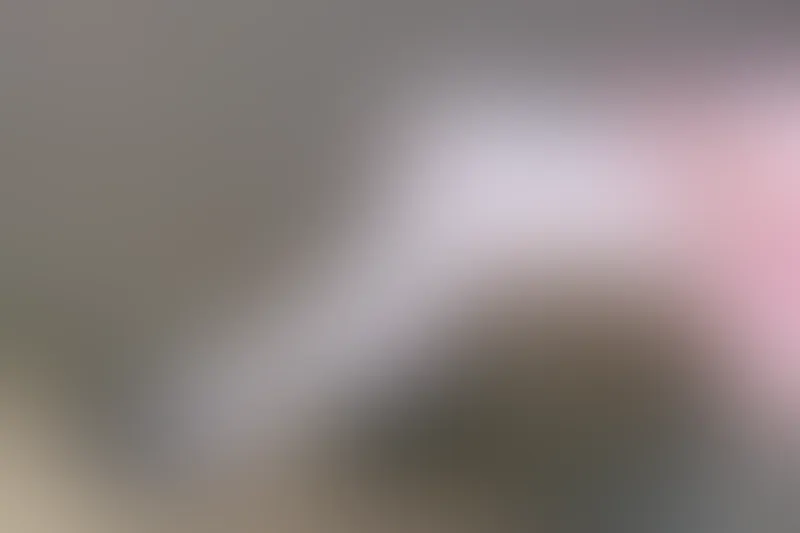 森萝财团 X-026 [113P1V-1.78G]可爱, 森萝财团, 白丝, 美腿, 美足