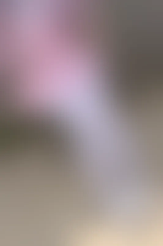 森萝财团 X-026 [113P1V-1.78G]可爱, 森萝财团, 白丝, 美腿, 美足