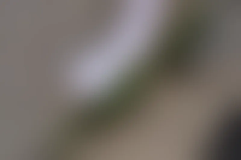 森萝财团 X-026 [113P1V-1.78G]可爱, 森萝财团, 白丝, 美腿, 美足