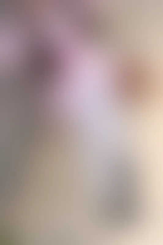 森萝财团 X-026 [113P1V-1.78G]可爱, 森萝财团, 白丝, 美腿, 美足
