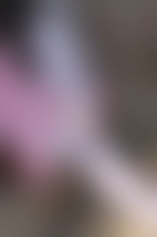 森萝财团 X-026 [113P1V-1.78G]可爱, 森萝财团, 白丝, 美腿, 美足