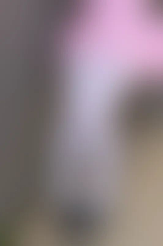 森萝财团 X-026 [113P1V-1.78G]可爱, 森萝财团, 白丝, 美腿, 美足