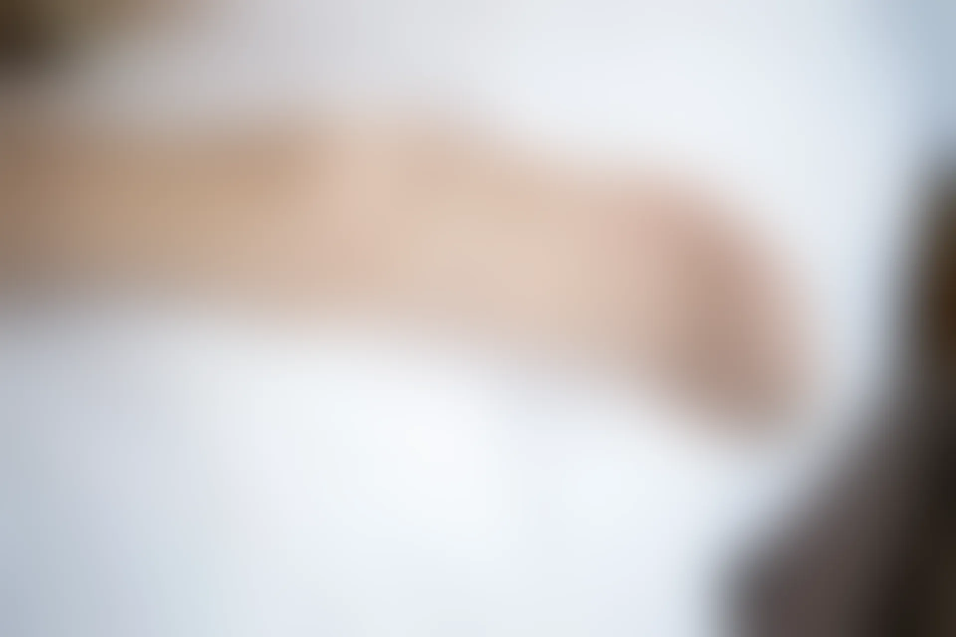 XiuRen秀人网 2019.09.24 No.1695 杨晨晨sugar [91+1P]