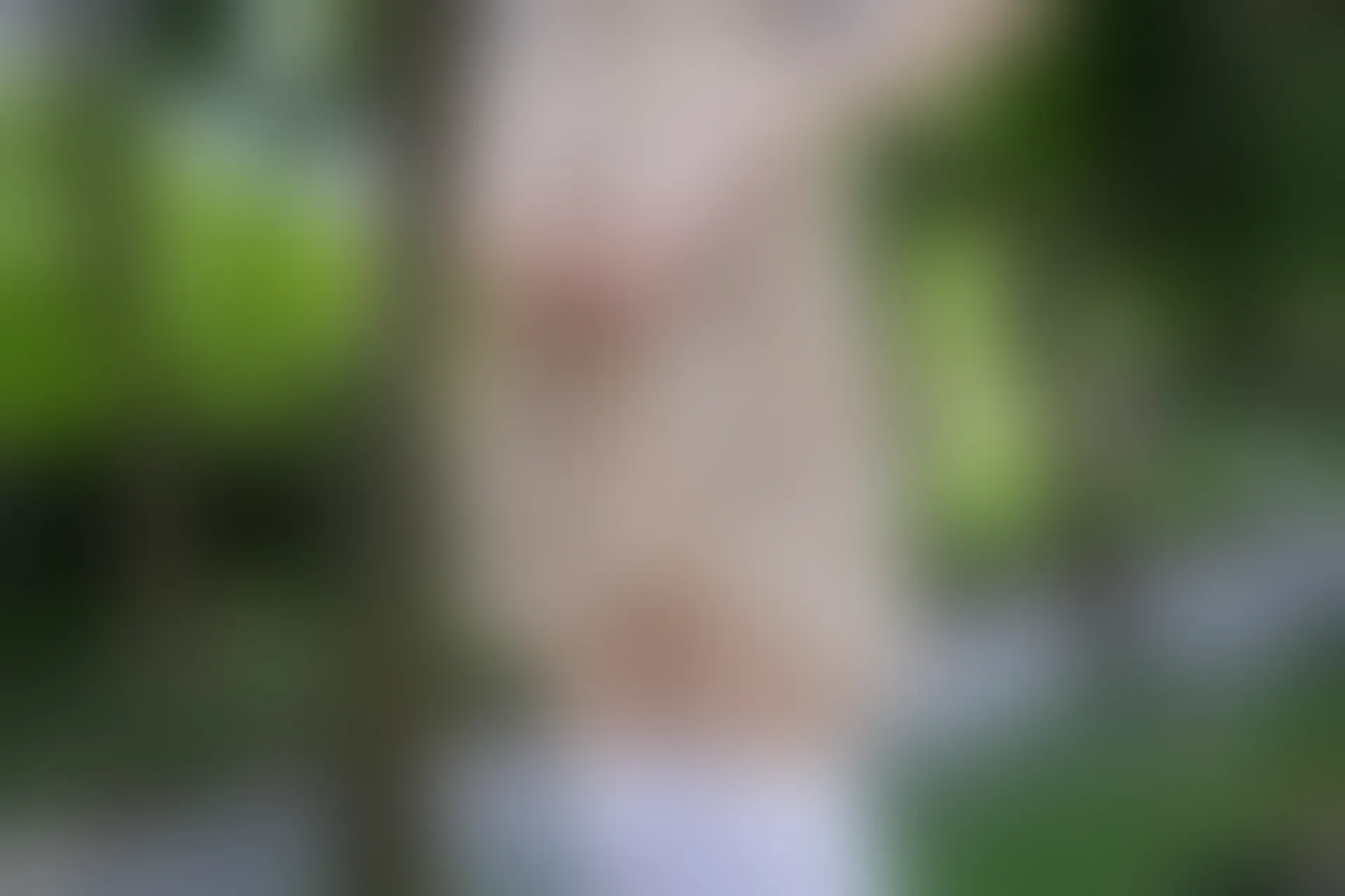 C19.006 树荫里的小细腿 [40P-104MB]