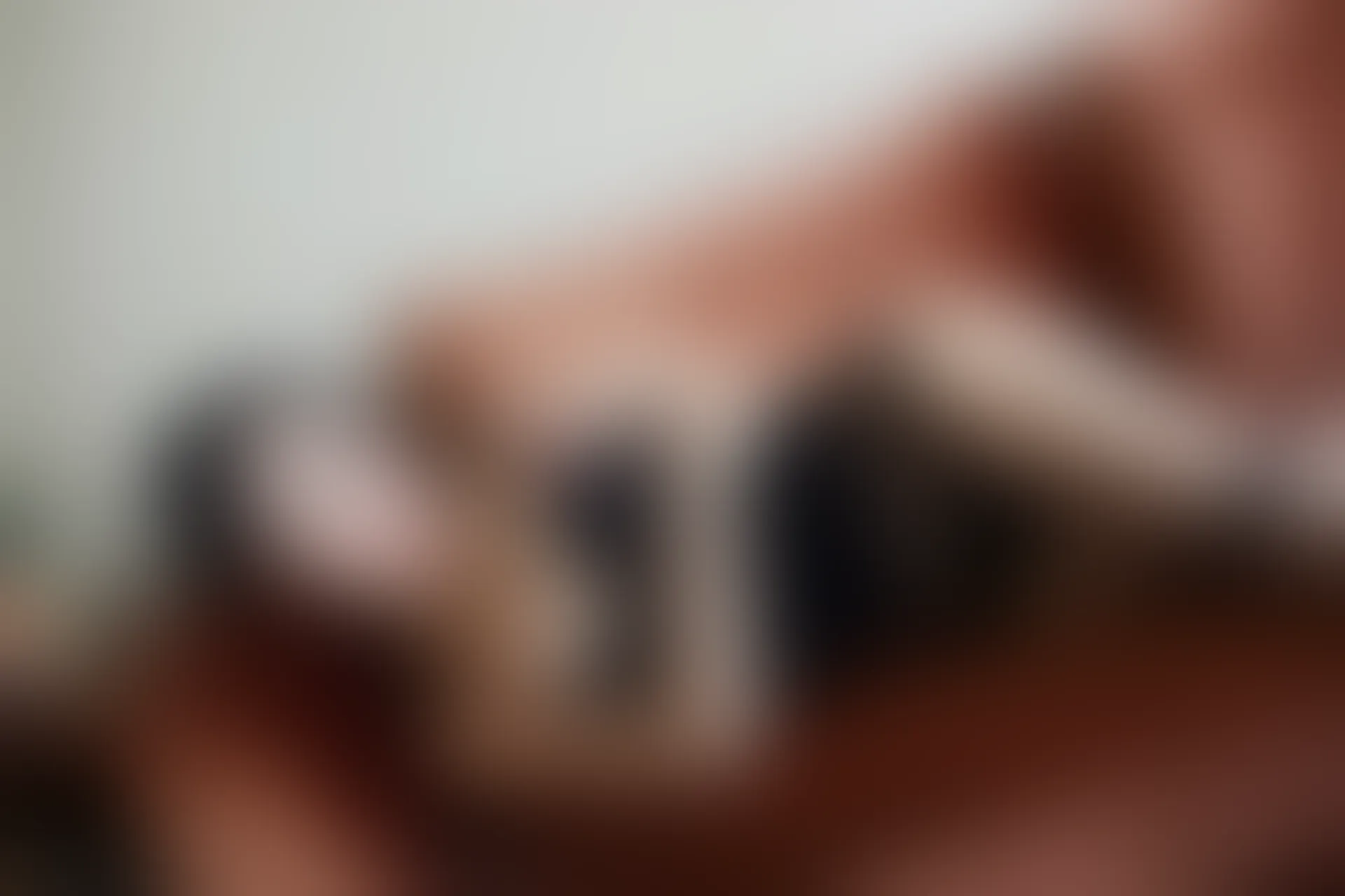 XiuRen秀人网 2015.01.12 No.278 嘉嘉Tiffany [90P215M]