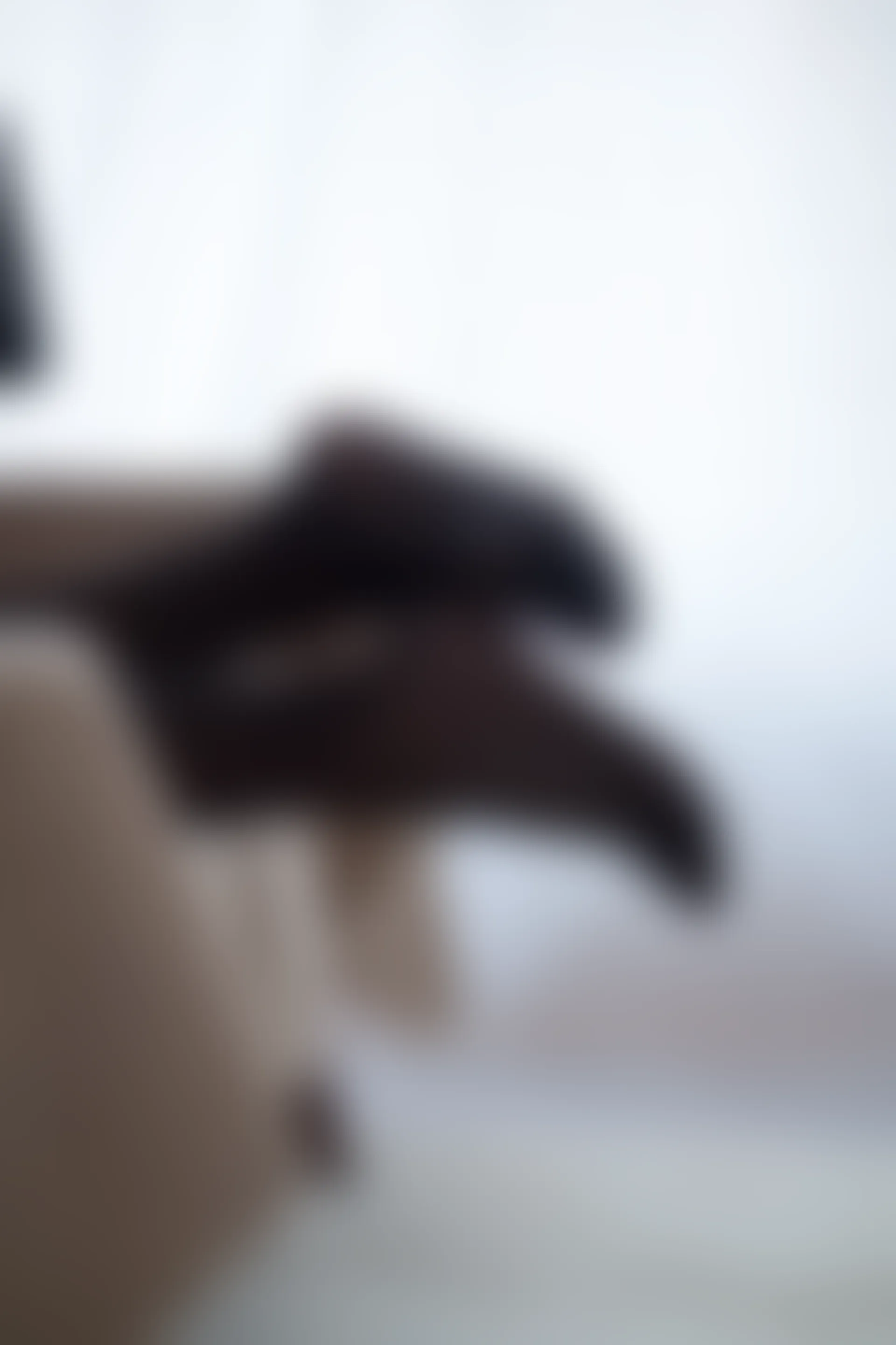 喵写真 VOL-019 [96P-824M]喵写真, 美腿, 蕾丝, 黑丝
