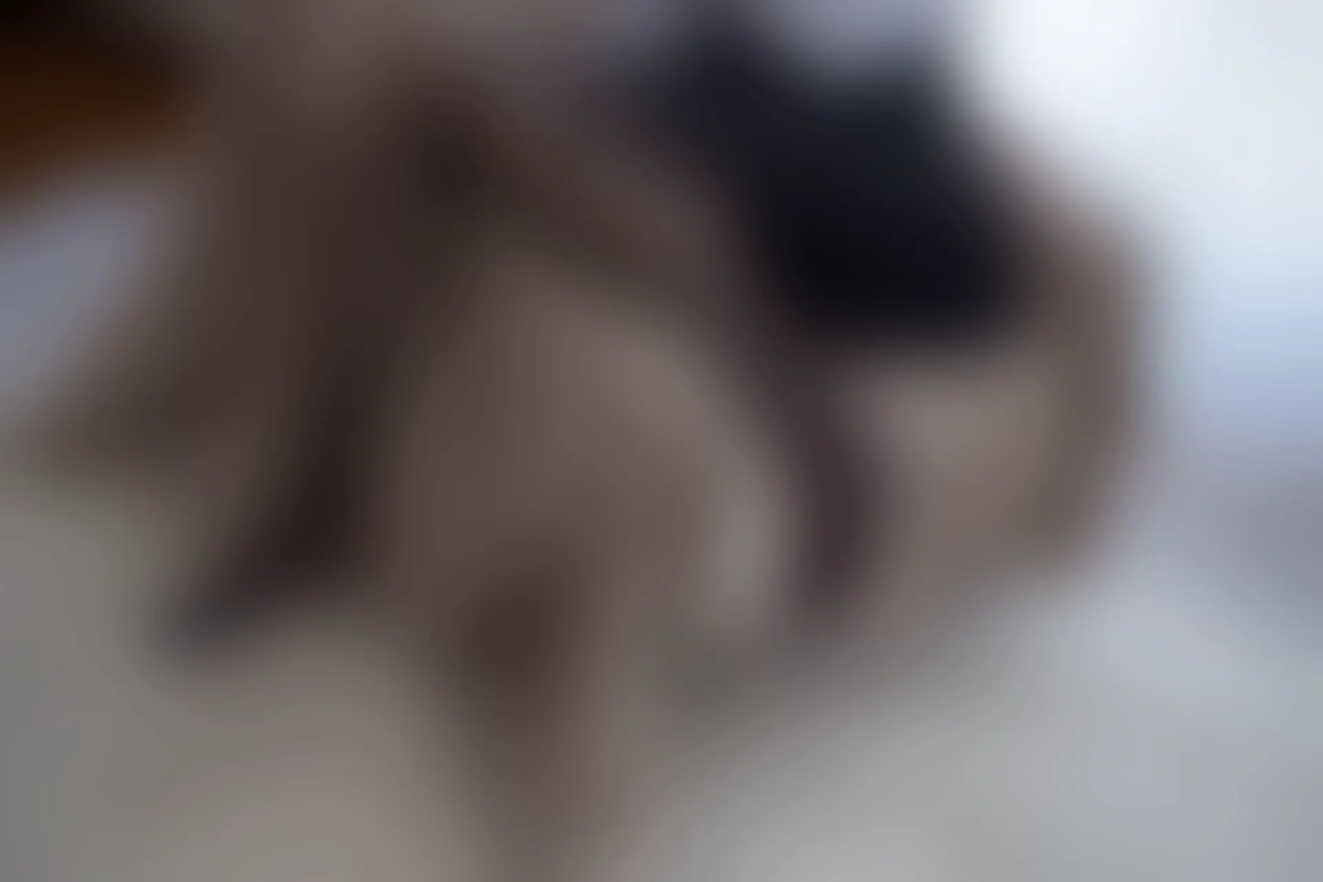 喵写真 VOL-019 [96P-824M]喵写真, 美腿, 蕾丝, 黑丝