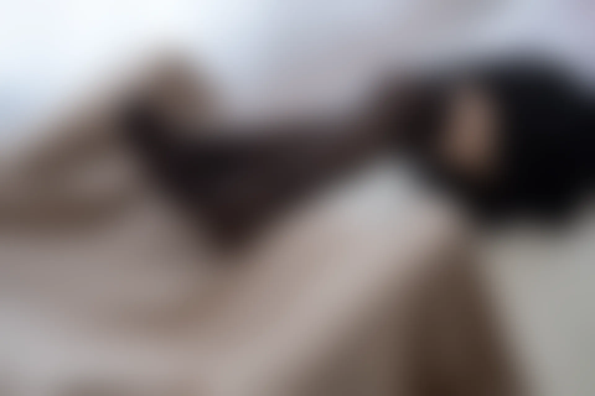 喵写真 VOL-019 [96P-824M]喵写真, 美腿, 蕾丝, 黑丝