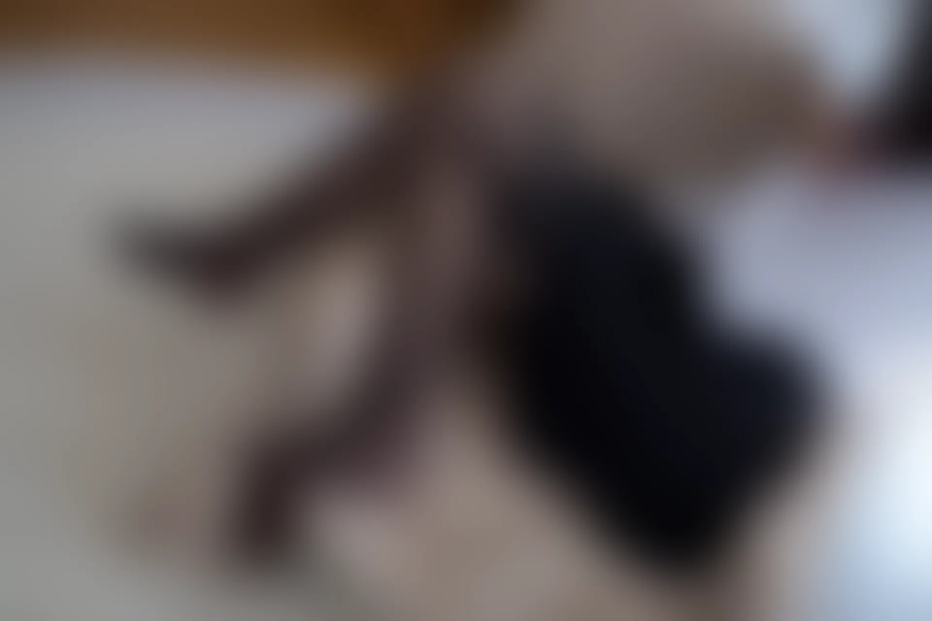 喵写真 VOL-019 [96P-824M]喵写真, 美腿, 蕾丝, 黑丝