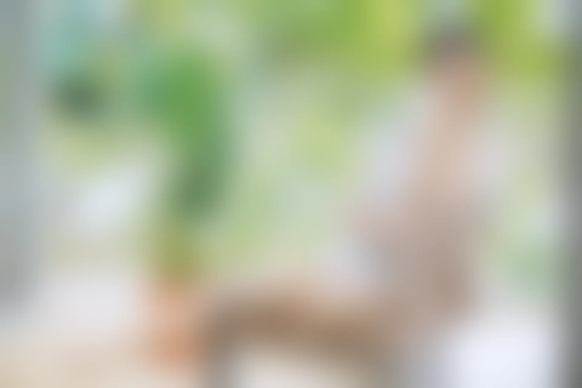 XiuRen秀人网 2019.08.13 No.1613 沈梦瑶 [50+1P]