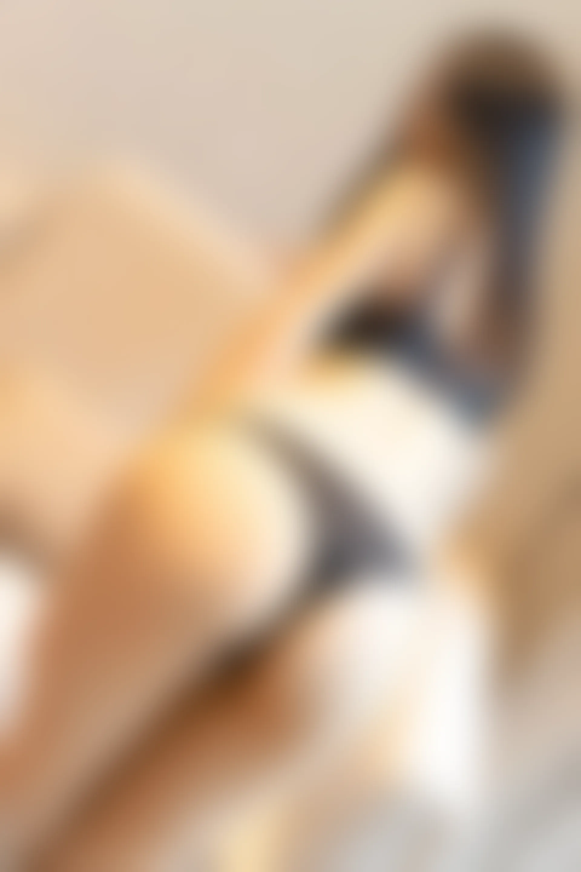 XiuRen秀人网 2021.10.29 No.4140 熊小诺[91+1P／950MB]