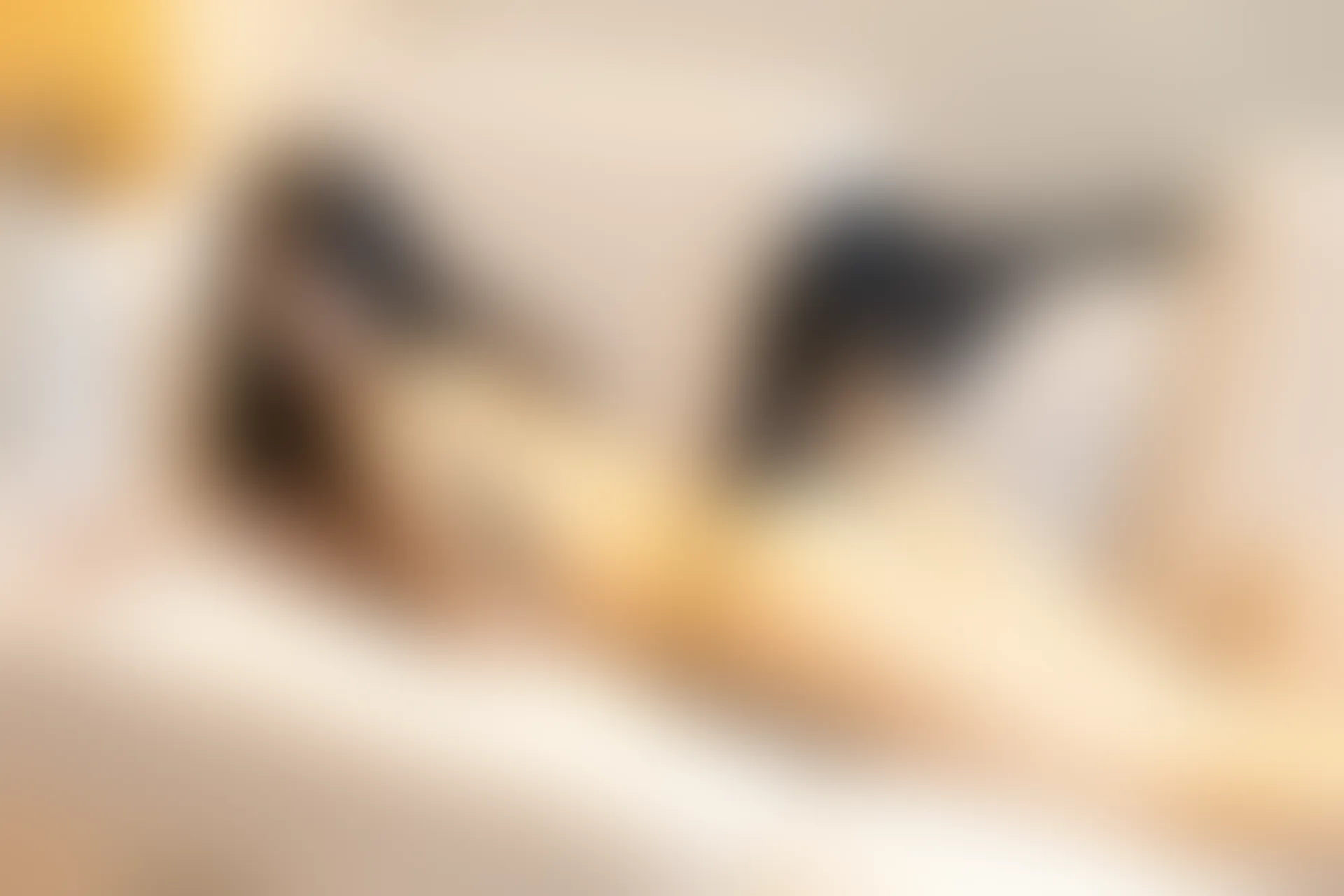 XiuRen秀人网 2021.10.29 No.4140 熊小诺[91+1P／950MB]