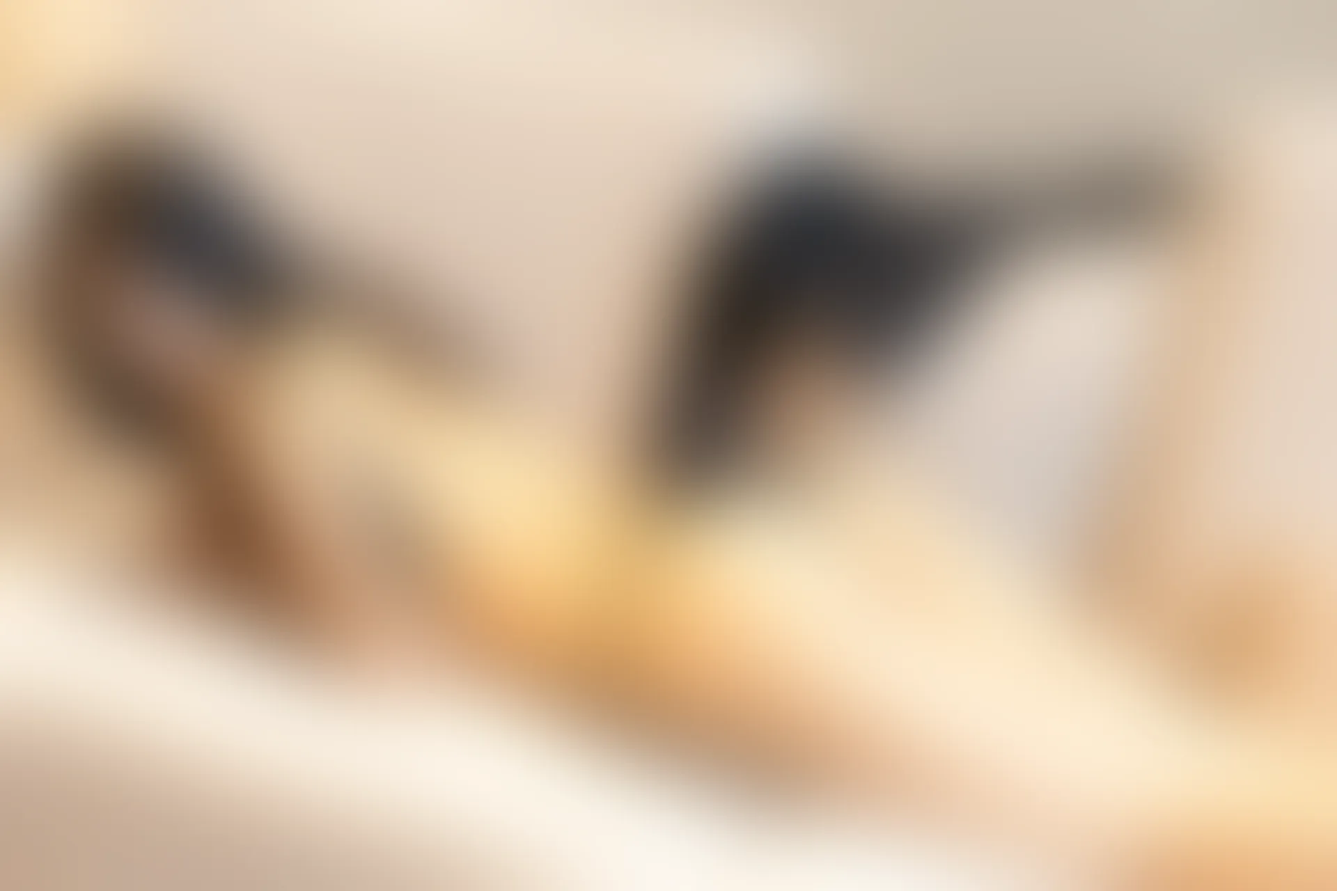 XiuRen秀人网 2021.10.29 No.4140 熊小诺[91+1P／950MB]