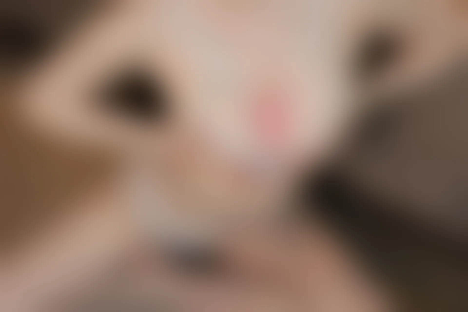XIUREN秀人网 2023.12.04 NO.7756 田兮白[83+1P／716MB]
