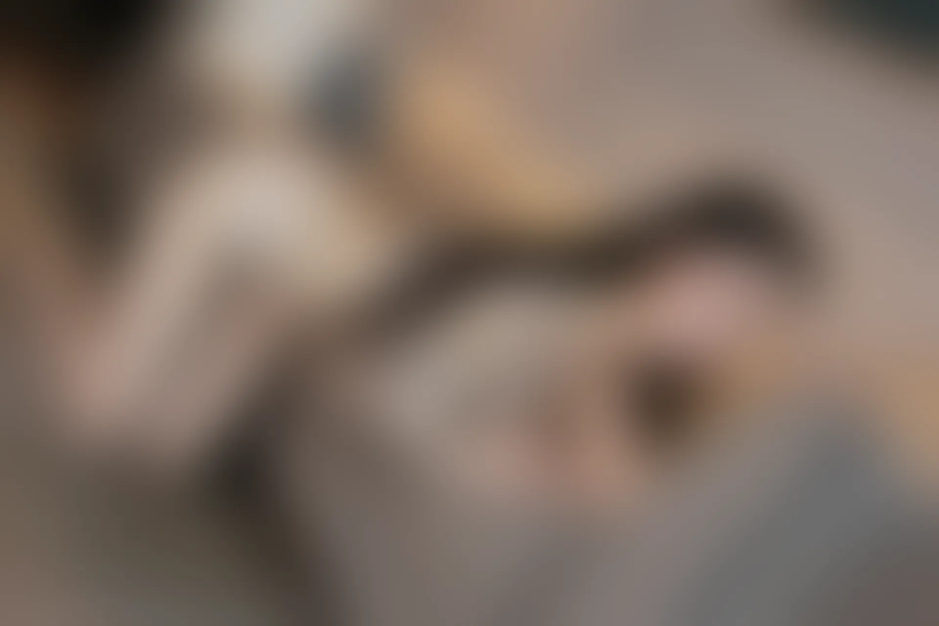 XIUREN秀人网 2023.12.04 NO.7756 田兮白[83+1P／716MB]