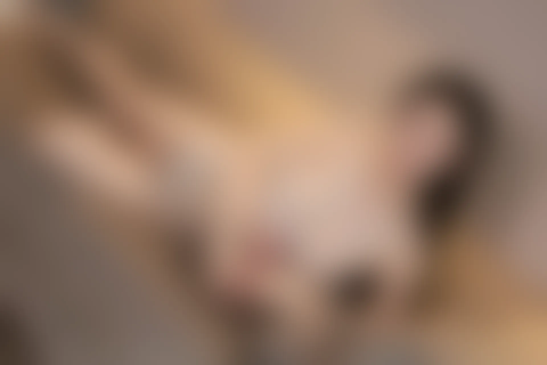 XIUREN秀人网 2023.12.04 NO.7756 田兮白[83+1P／716MB]