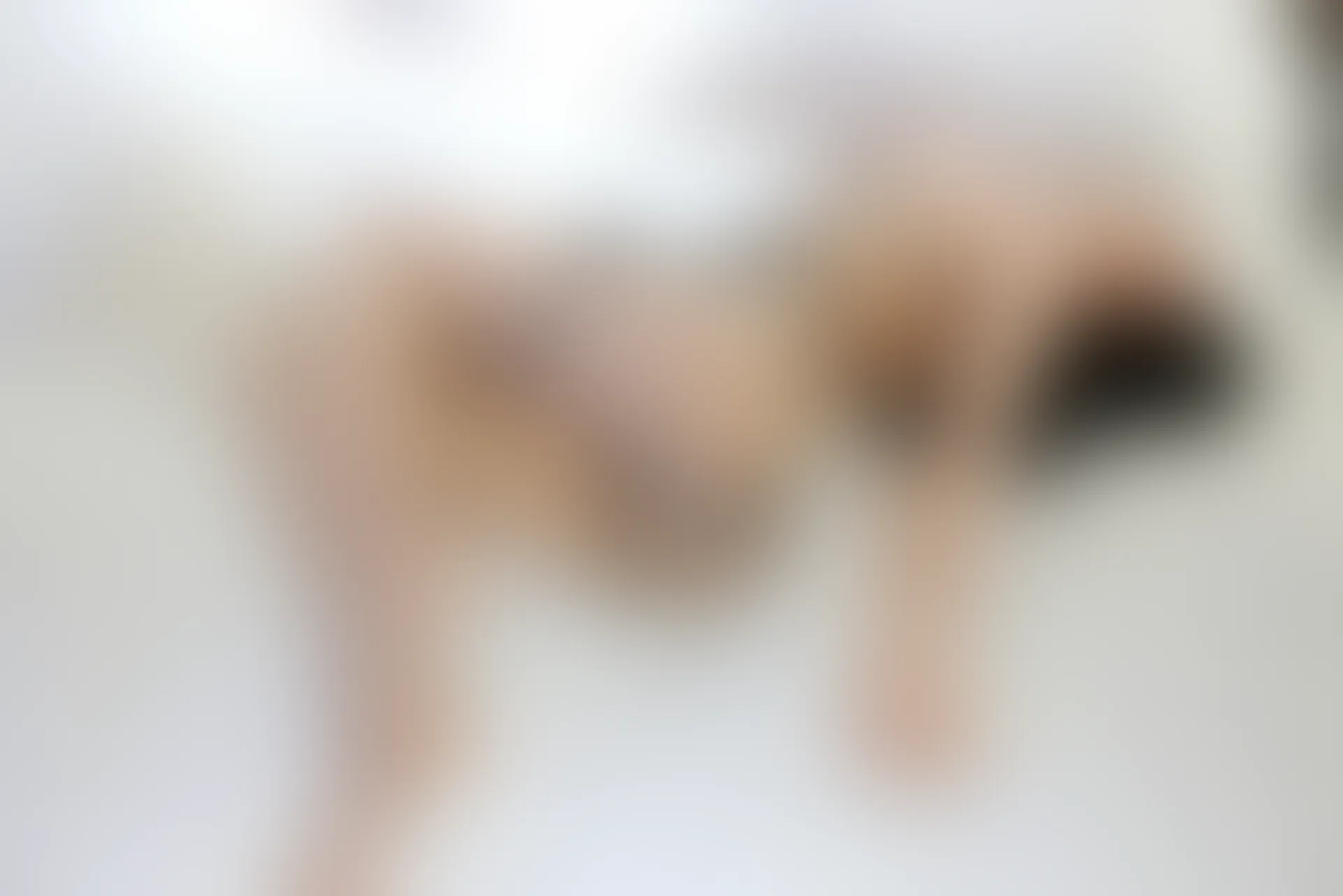 XIUREN秀人网 2023.12.04 NO.7758 尹甜甜[80+1P／724MB]