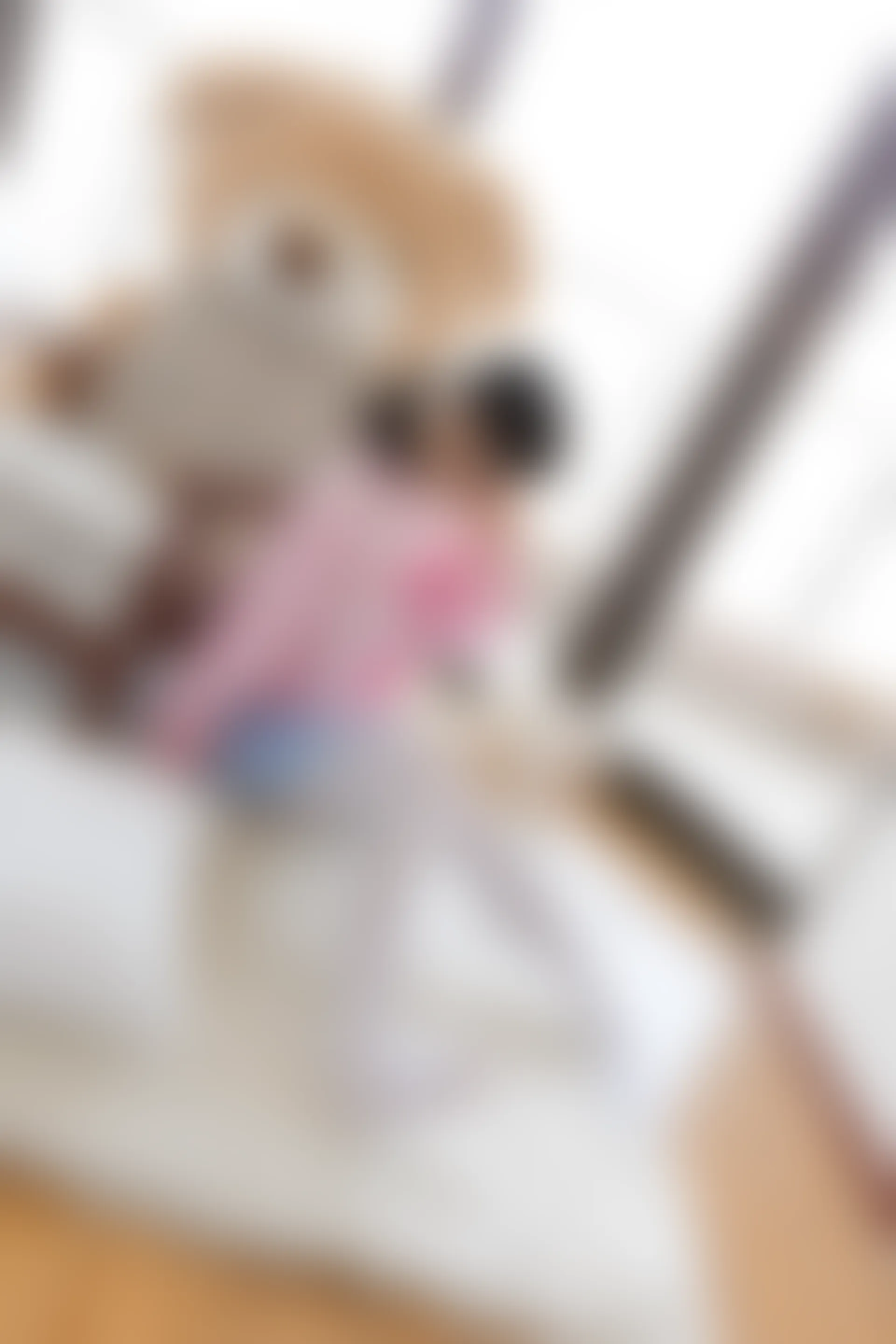 喵写真 R15-009 [104P1V-642M]可爱, 喵写真, 白丝, 美腿