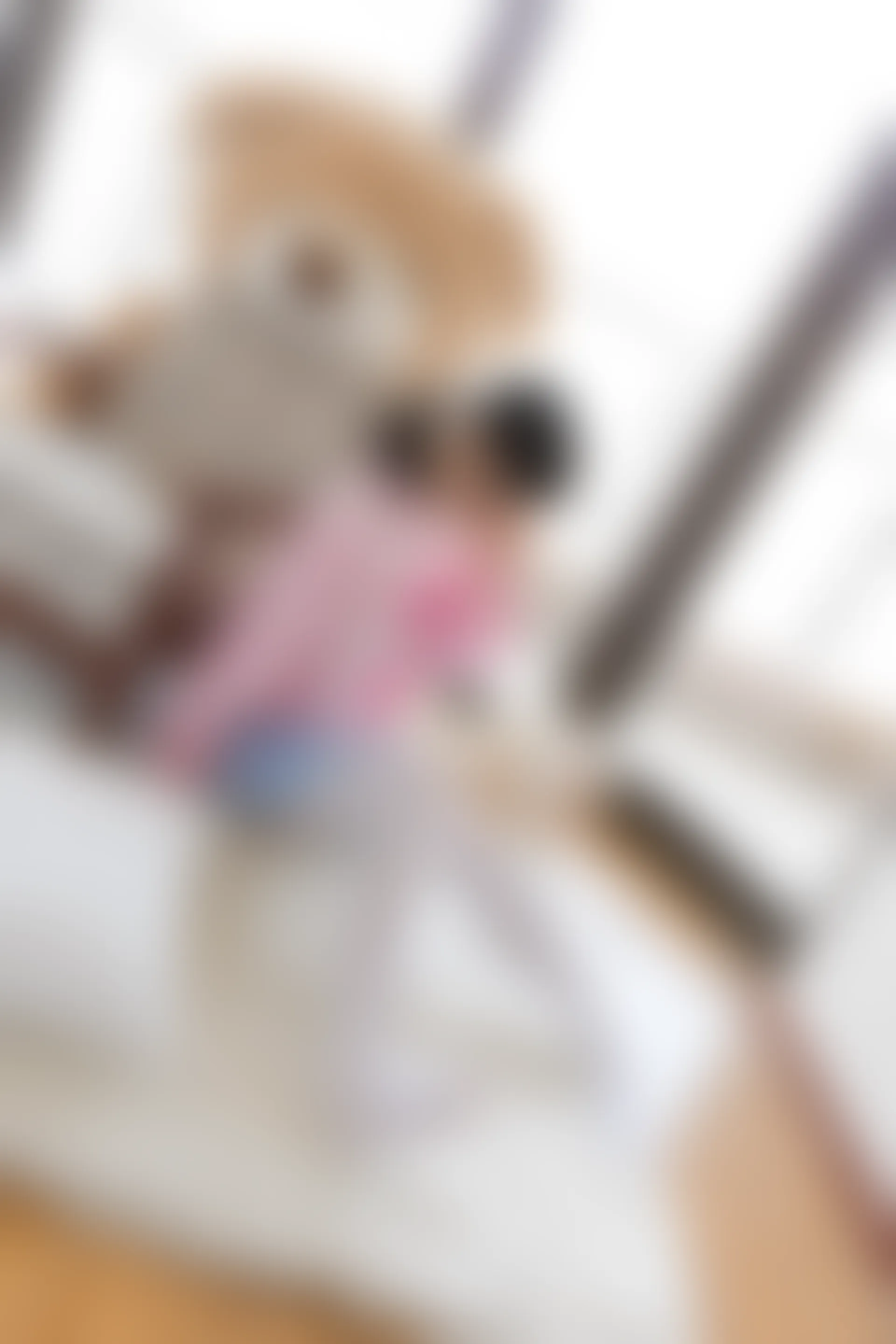 喵写真 R15-009 [104P1V-642M]可爱, 喵写真, 白丝, 美腿
