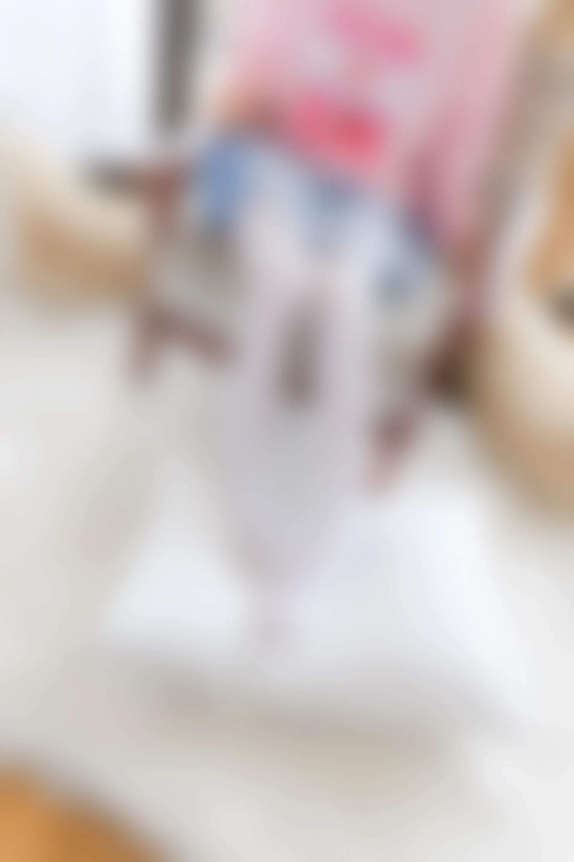 喵写真 R15-009 [104P1V-642M]可爱, 喵写真, 白丝, 美腿