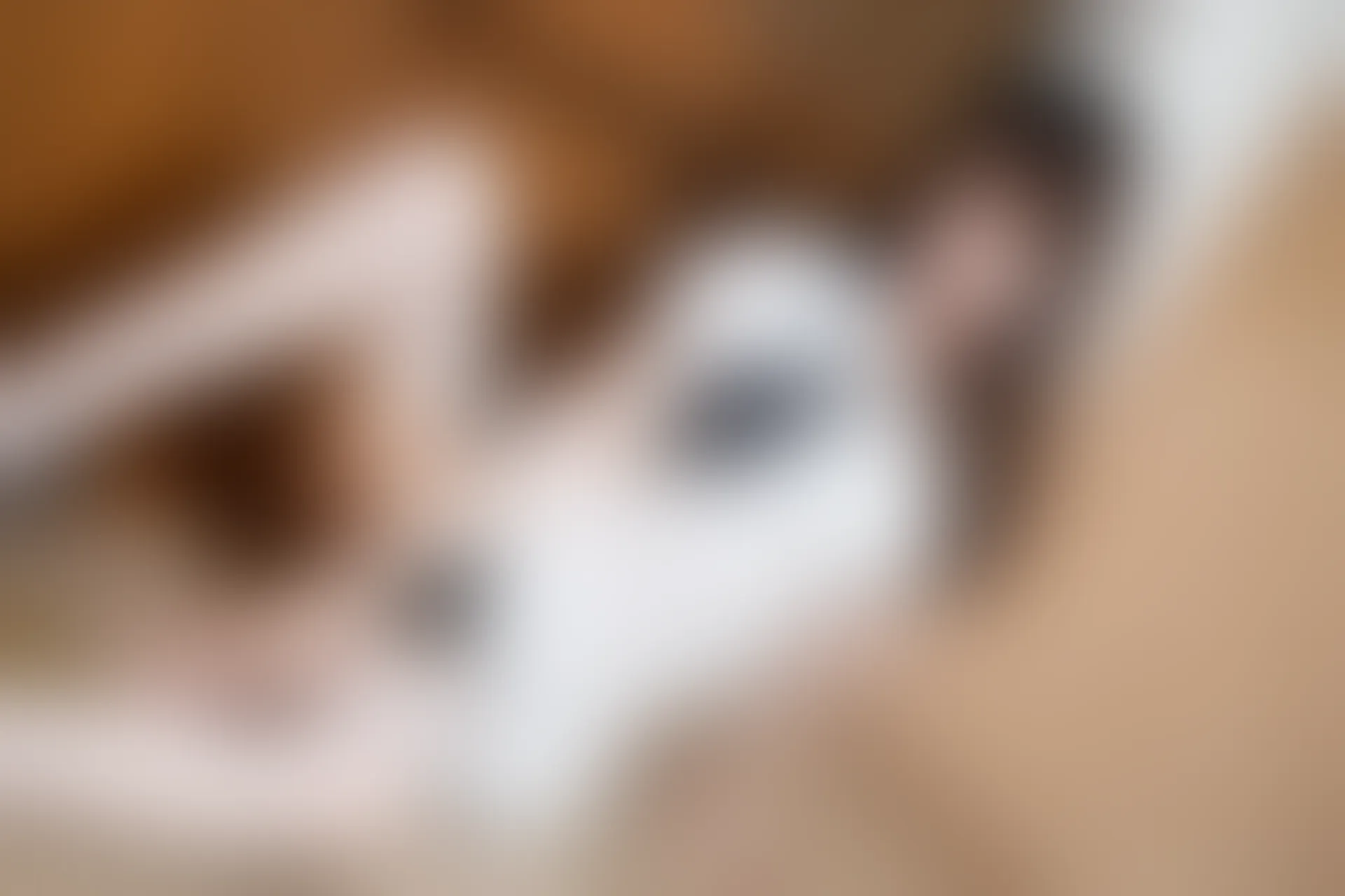 XiuRen秀人网 2021.10.27 No.4128 水水er[64+1P／524MB]