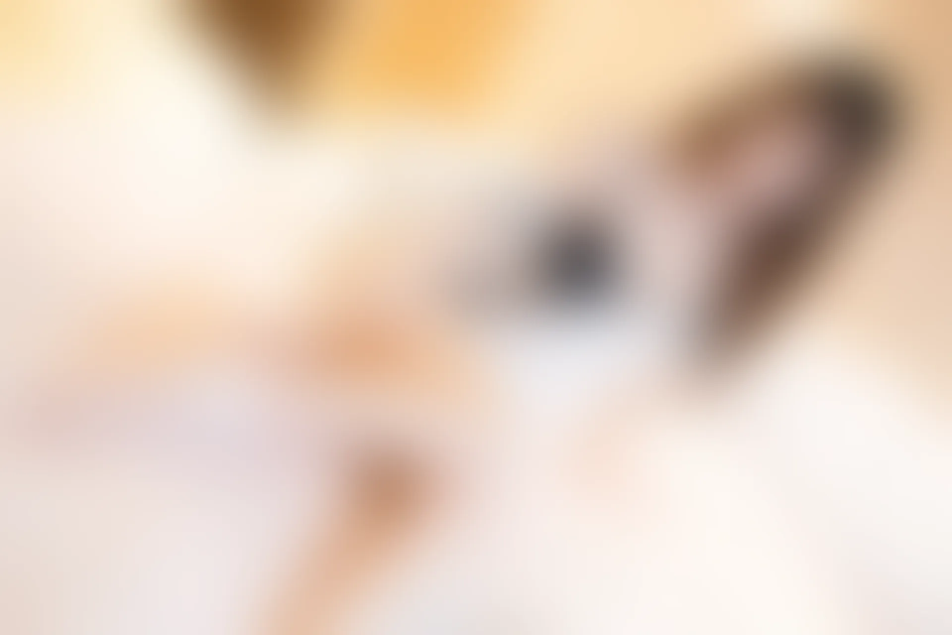 XiuRen秀人网 2021.10.27 No.4128 水水er[64+1P／524MB]