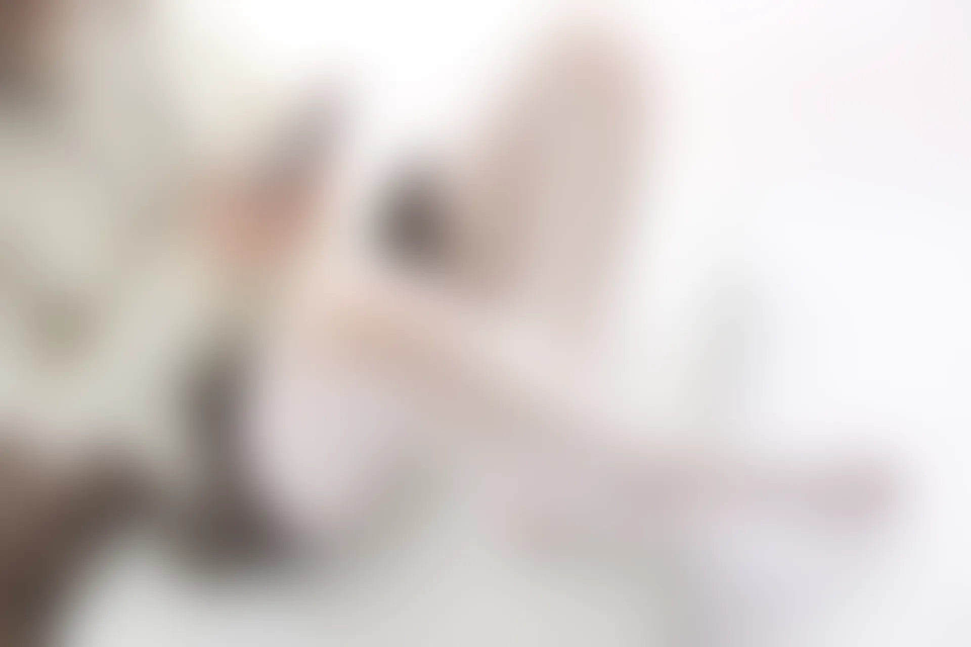 森萝财团 X-006 [99P1V-1.65G]白丝, 美腿, 美足