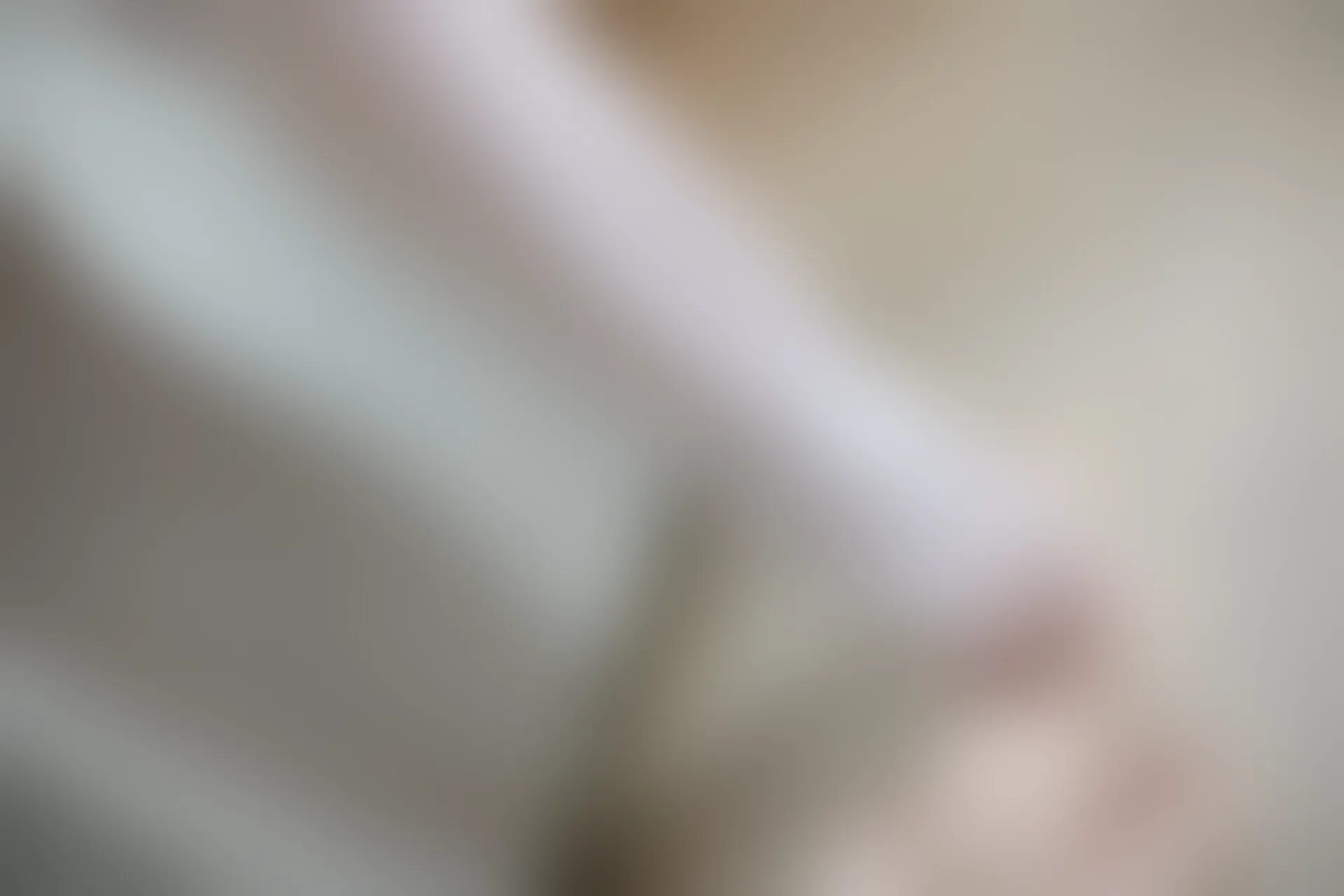 森萝财团 X-006 [99P1V-1.65G]白丝, 美腿, 美足