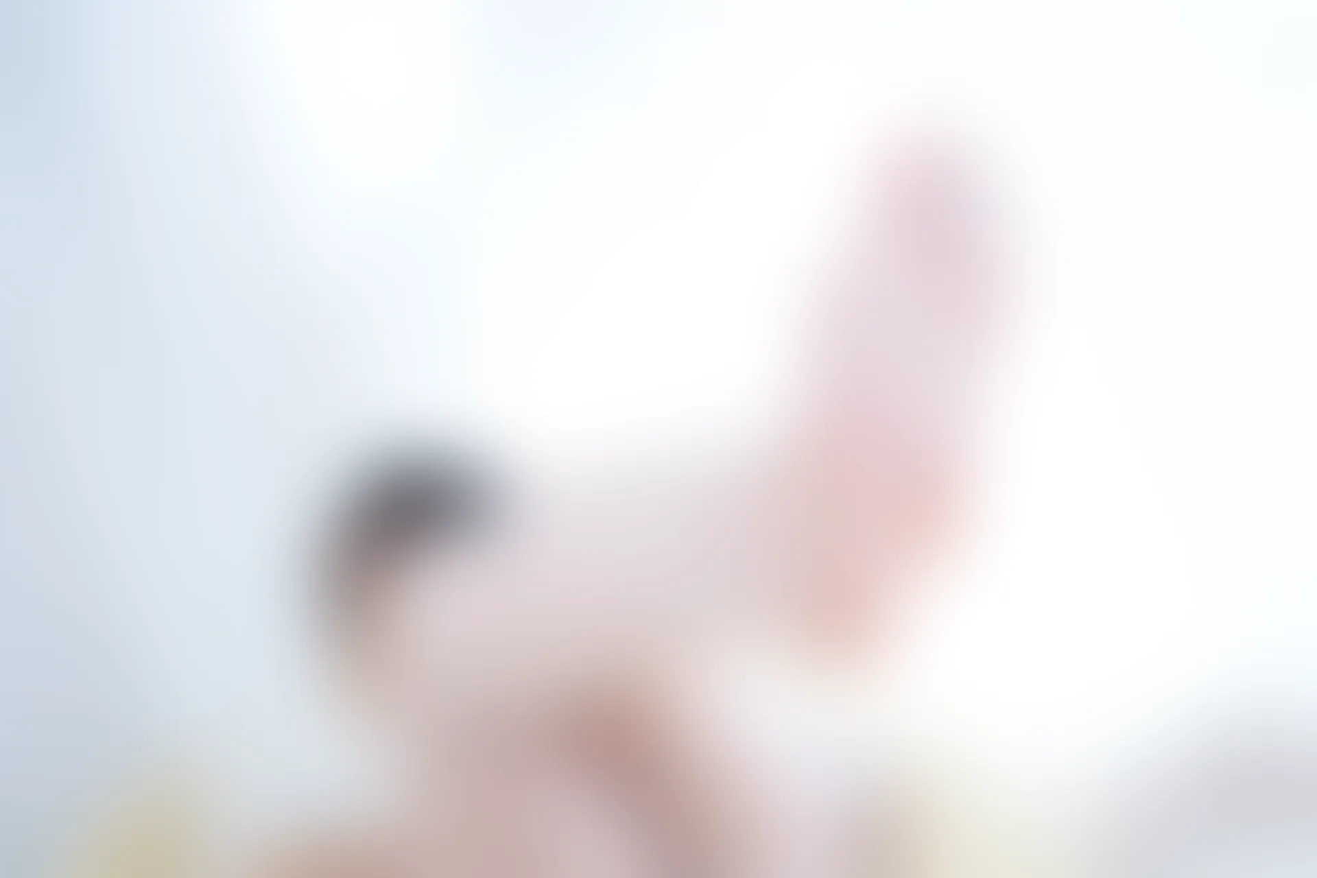 森萝财团 R15-006 [71P-392M]可爱, 森萝财团, 白丝, 美腿, 美足