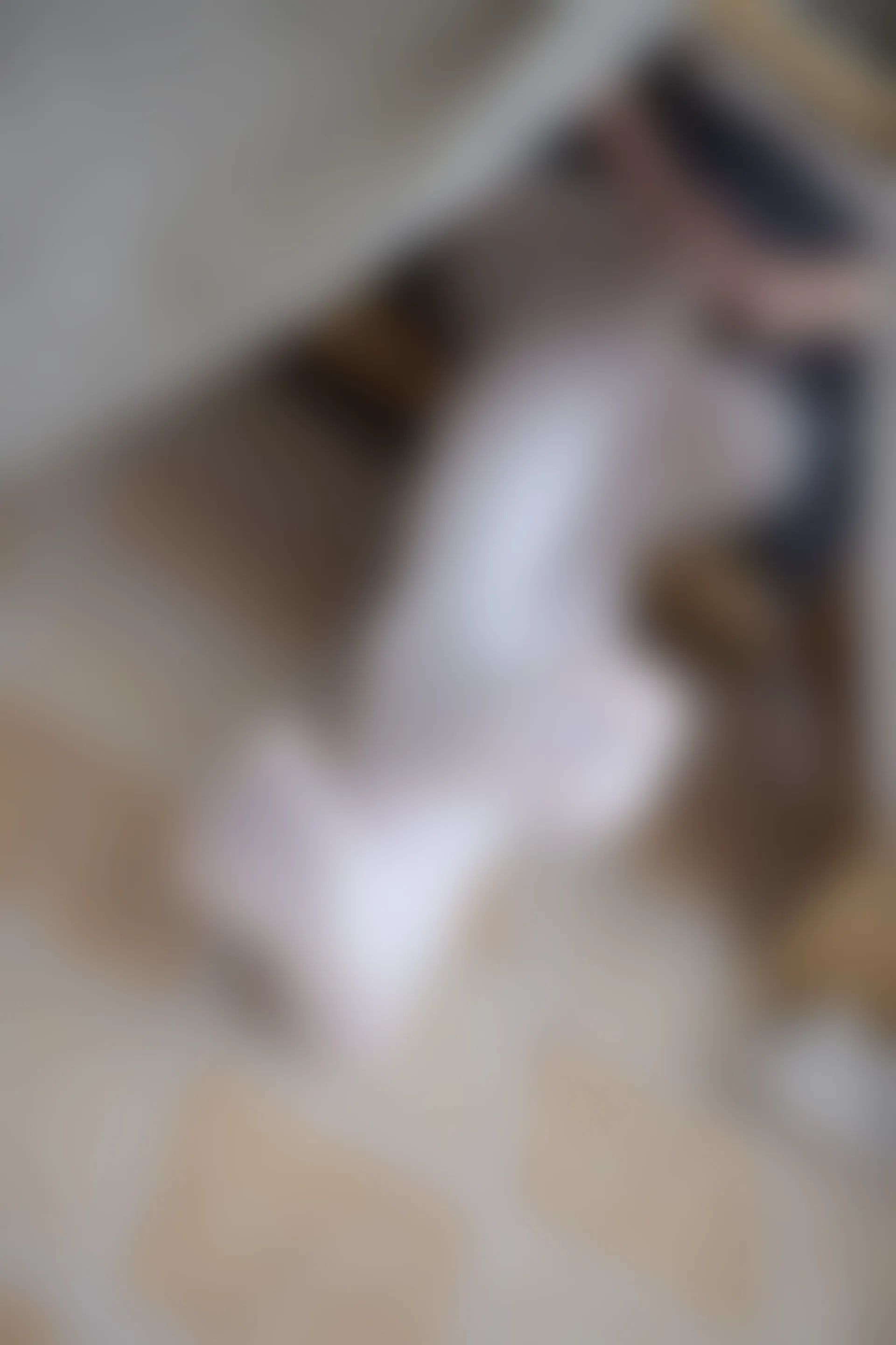 森萝财团 R15-010 [94P-476M]制服, 可爱, 学生装, 森萝财团, 白丝, 美腿