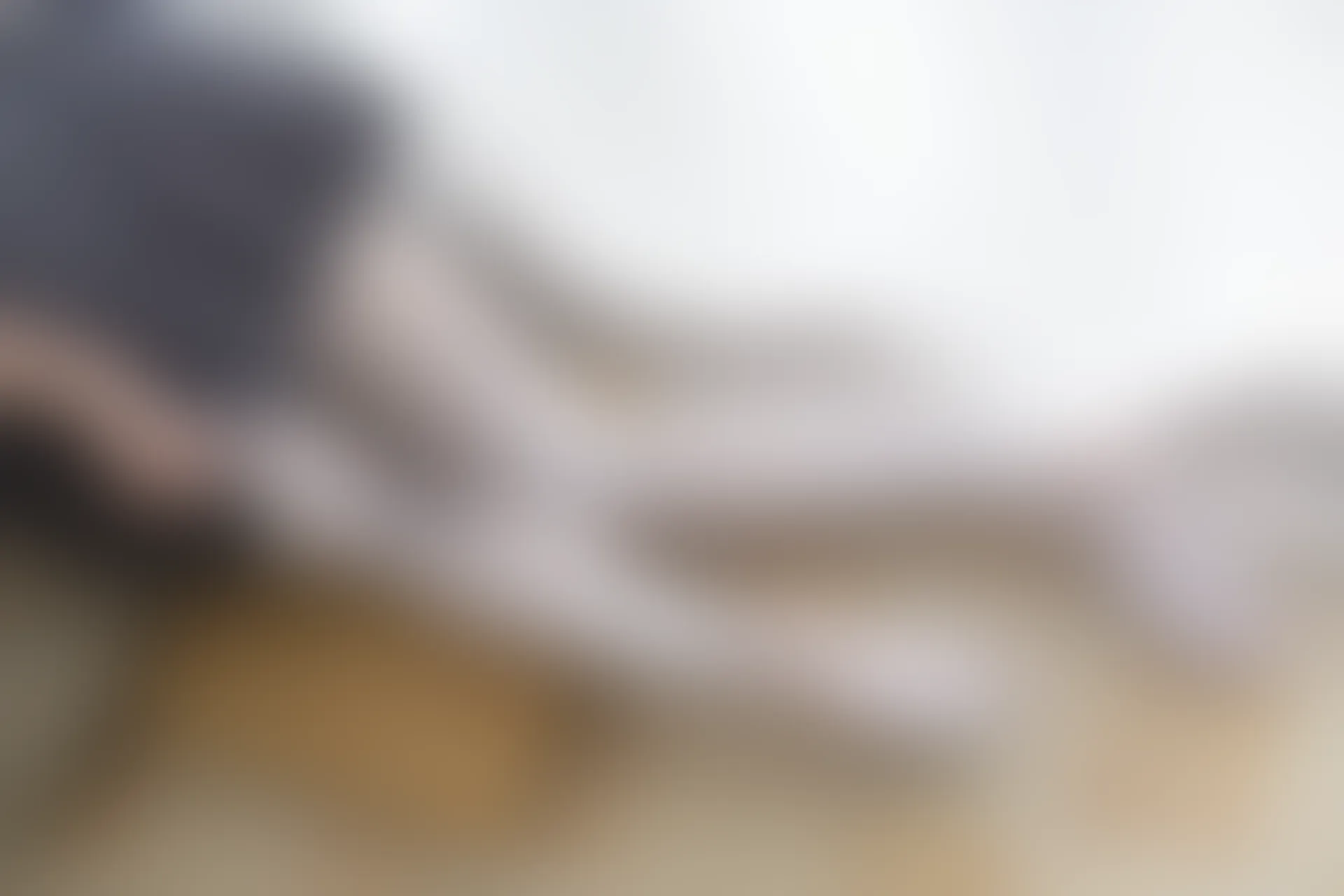 森萝财团 R15-010 [94P-476M]制服, 可爱, 学生装, 森萝财团, 白丝, 美腿