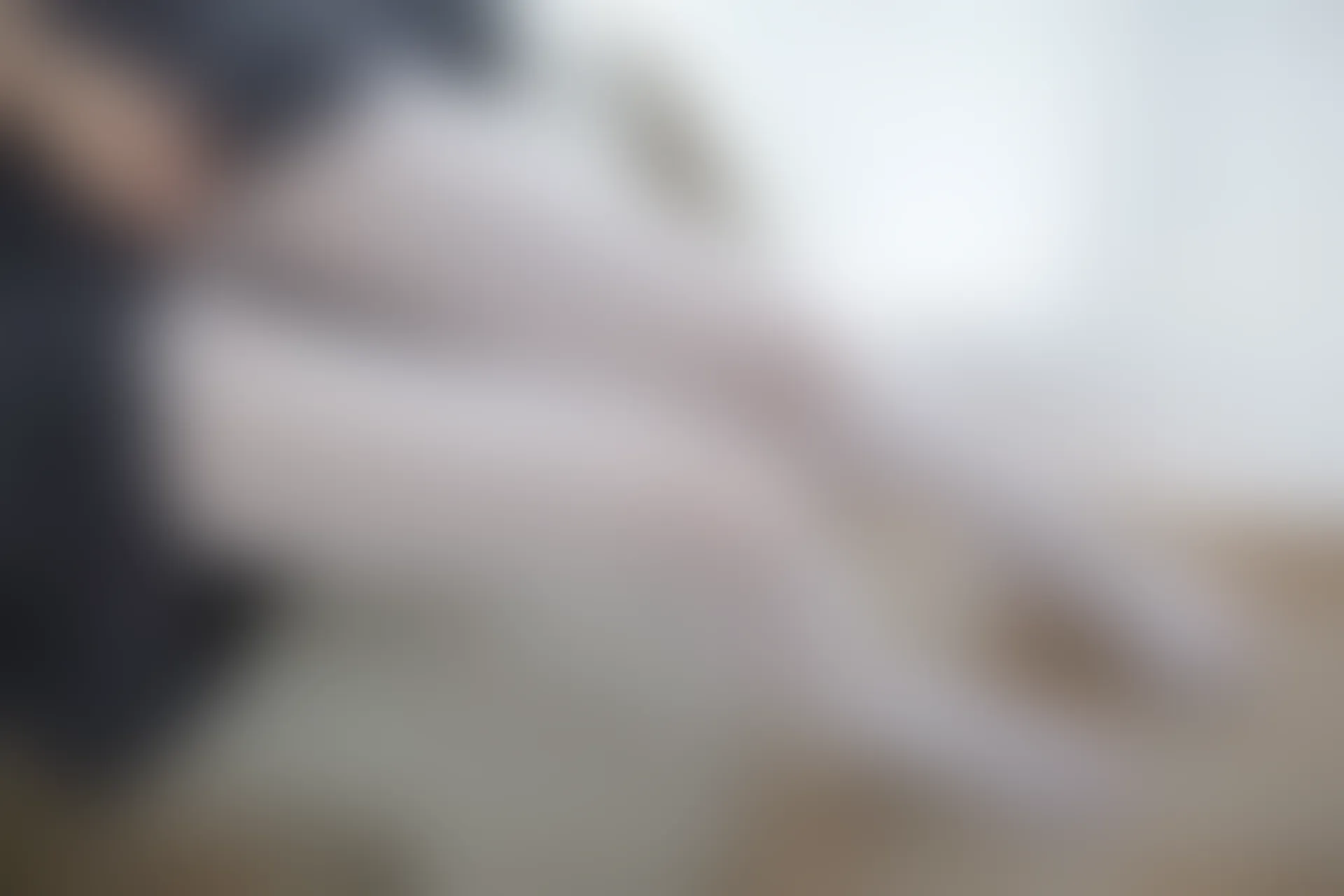 森萝财团 R15-010 [94P-476M]制服, 可爱, 学生装, 森萝财团, 白丝, 美腿