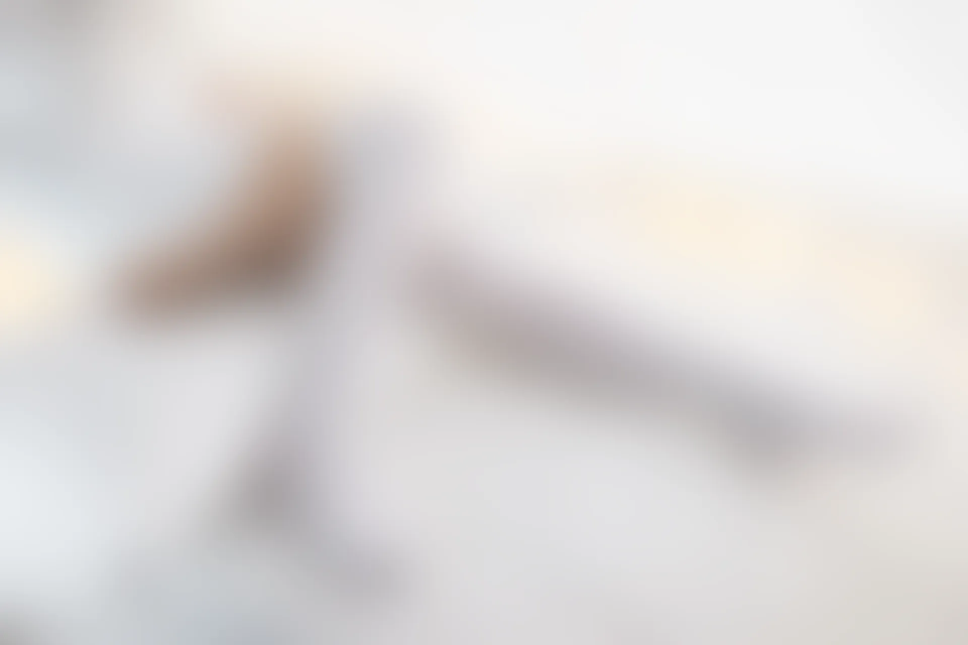 喵写真 VOL-014 [74P-535M]喵写真, 白丝, 美腿