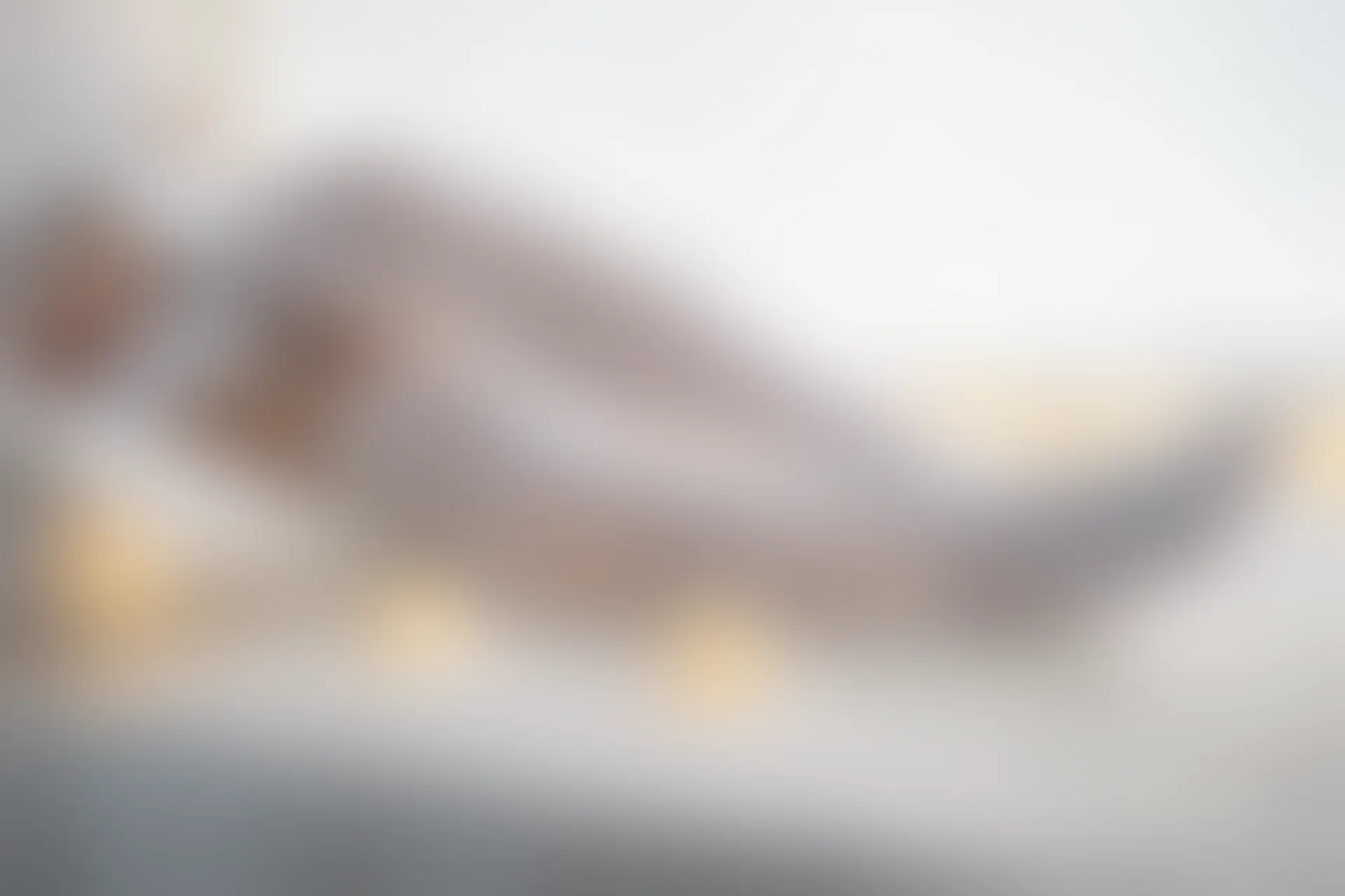 喵写真 VOL-014 [74P-535M]喵写真, 白丝, 美腿