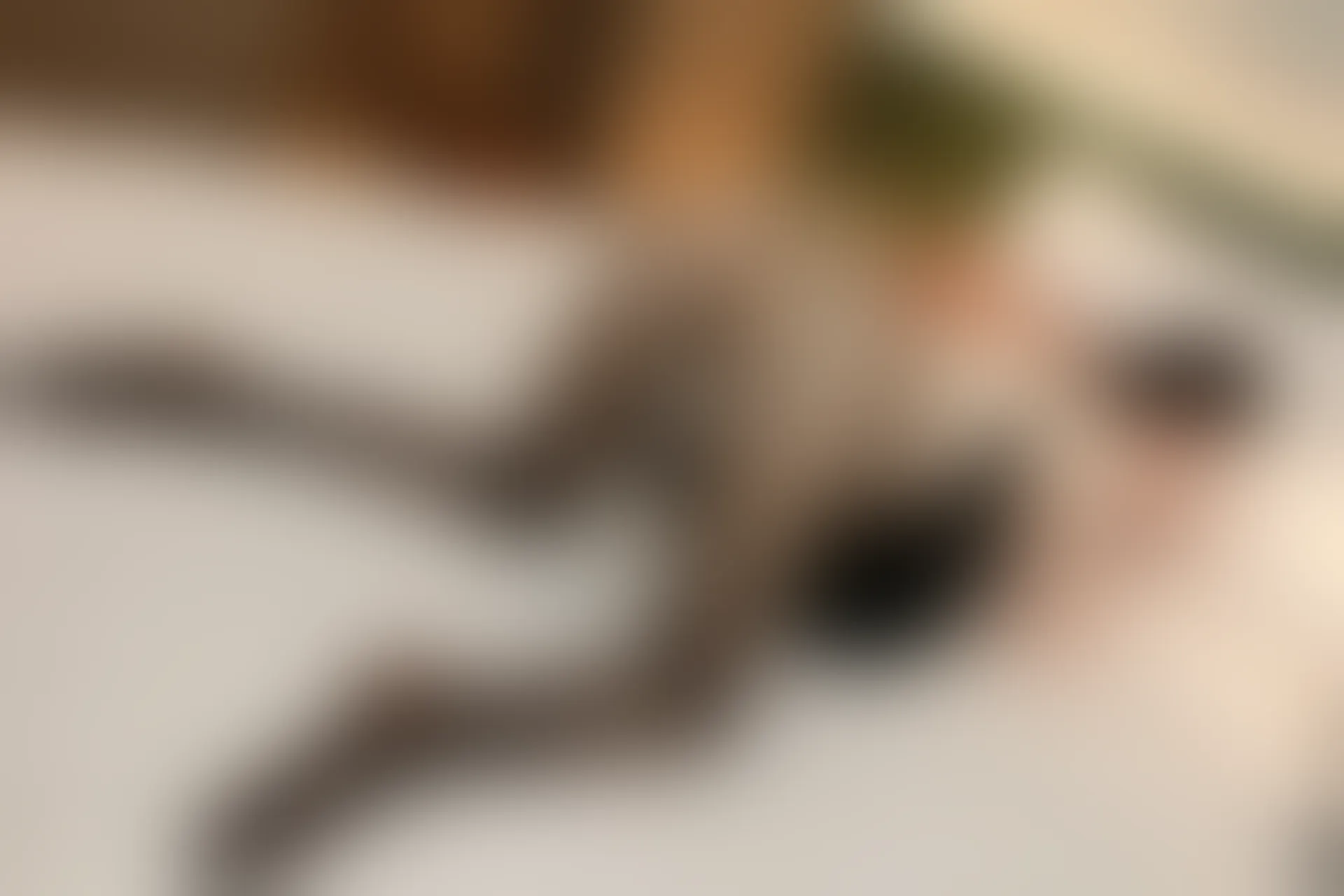 XIUREN秀人网 2024.01.16 NO.7967 田兮白[83+1P／760MB]