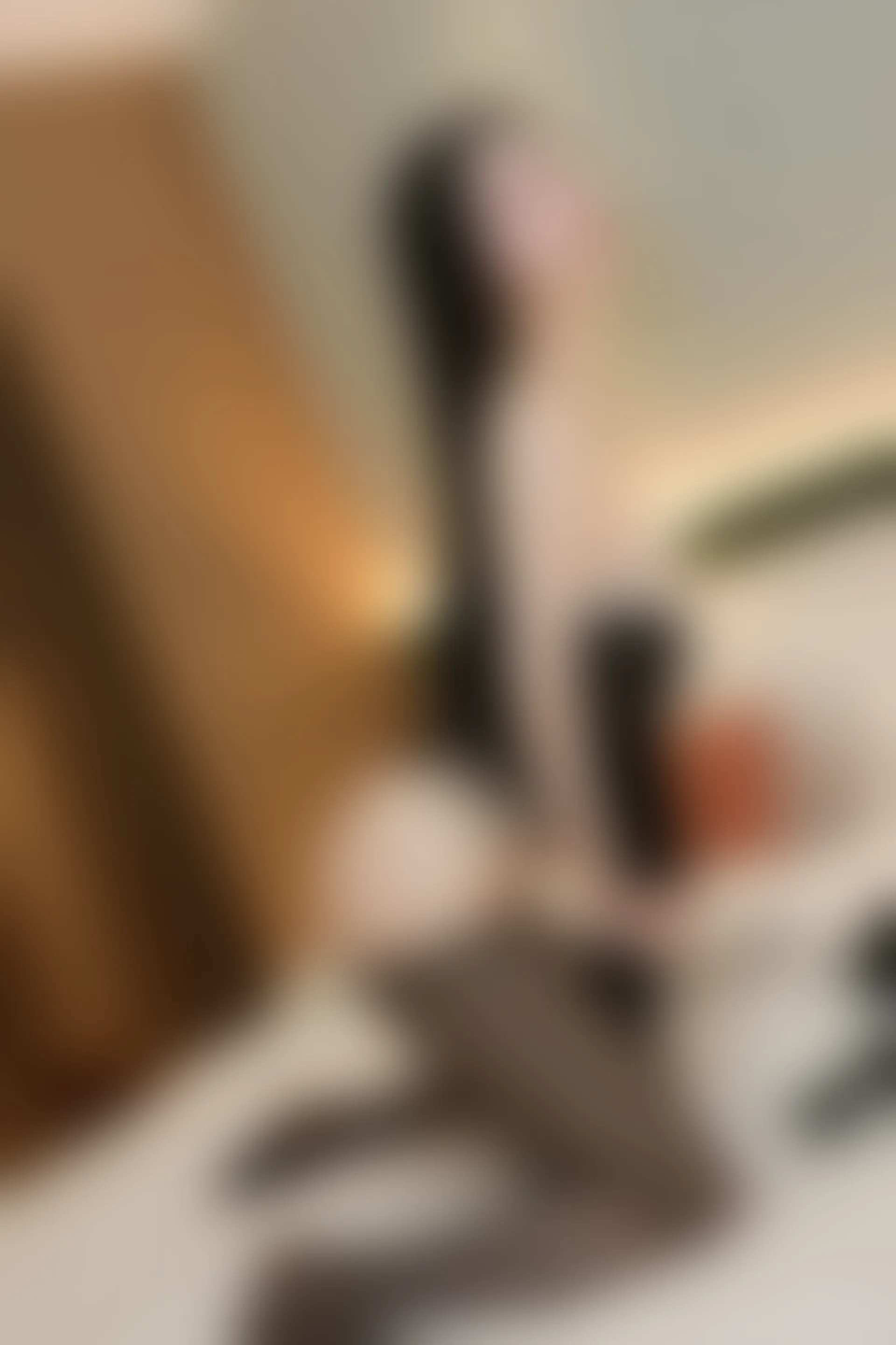 XIUREN秀人网 2024.01.16 NO.7967 田兮白[83+1P／760MB]